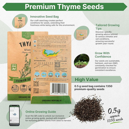 Thyme Seeds Pack 0.5 G - Over 1,350 Non-GMO Heirloom Thyme Seeds for Planting Herbs in Individual Seed Packet, Herbs Seeds for Planting Home Garden Indoor & Outdoor Gardening