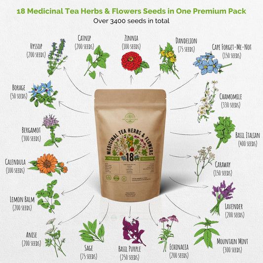 Organo Republic 18 Medicinal Tea Herb & Flower Seeds Variety Pack- Indoor/Outdoor. 3400+ Non-GMO Heirloom Flower Seeds: Anise, Bergamot, Calendula, Chamomile, Echinacea, Lavender Seeds & More