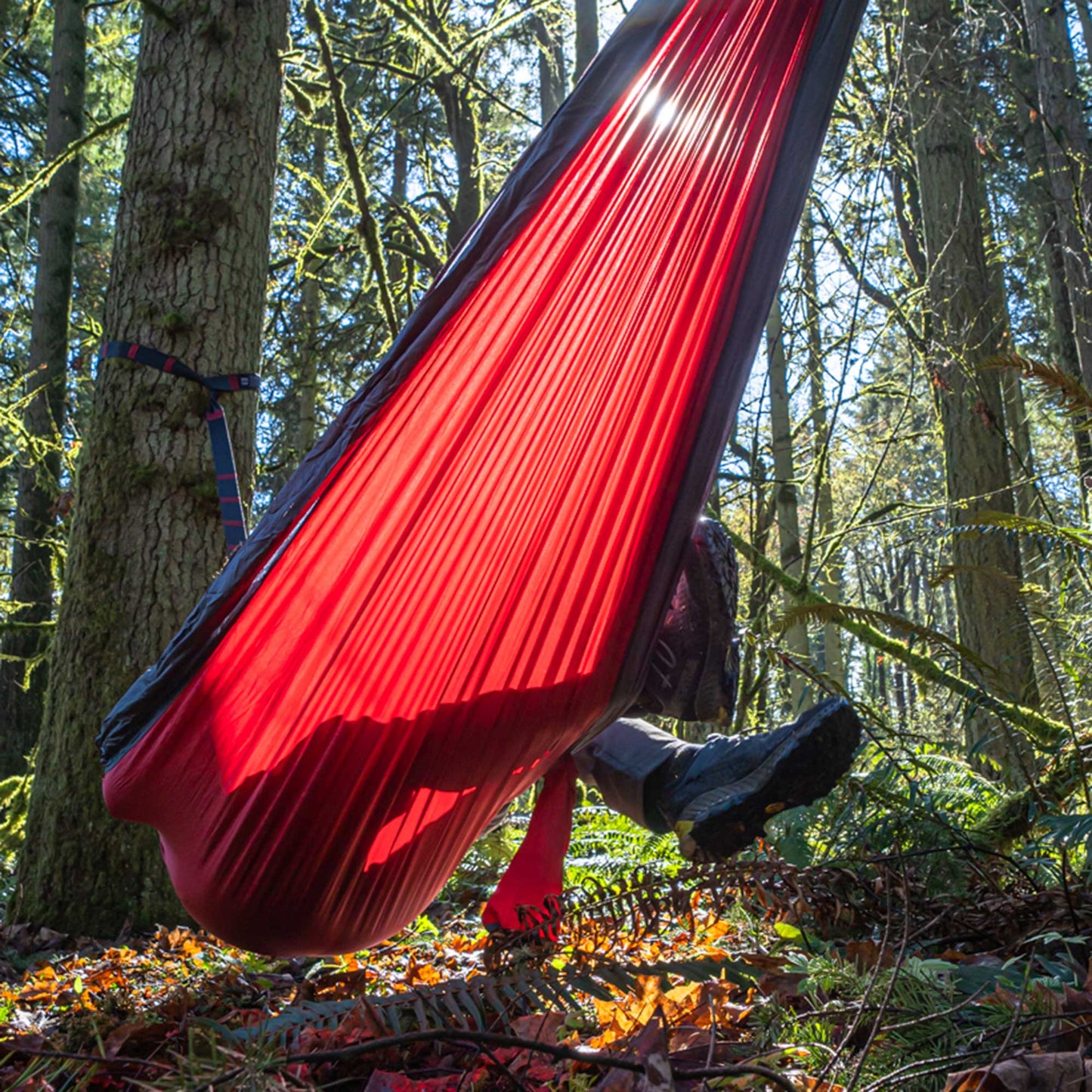 Double Deluxe Hammock w/Straps