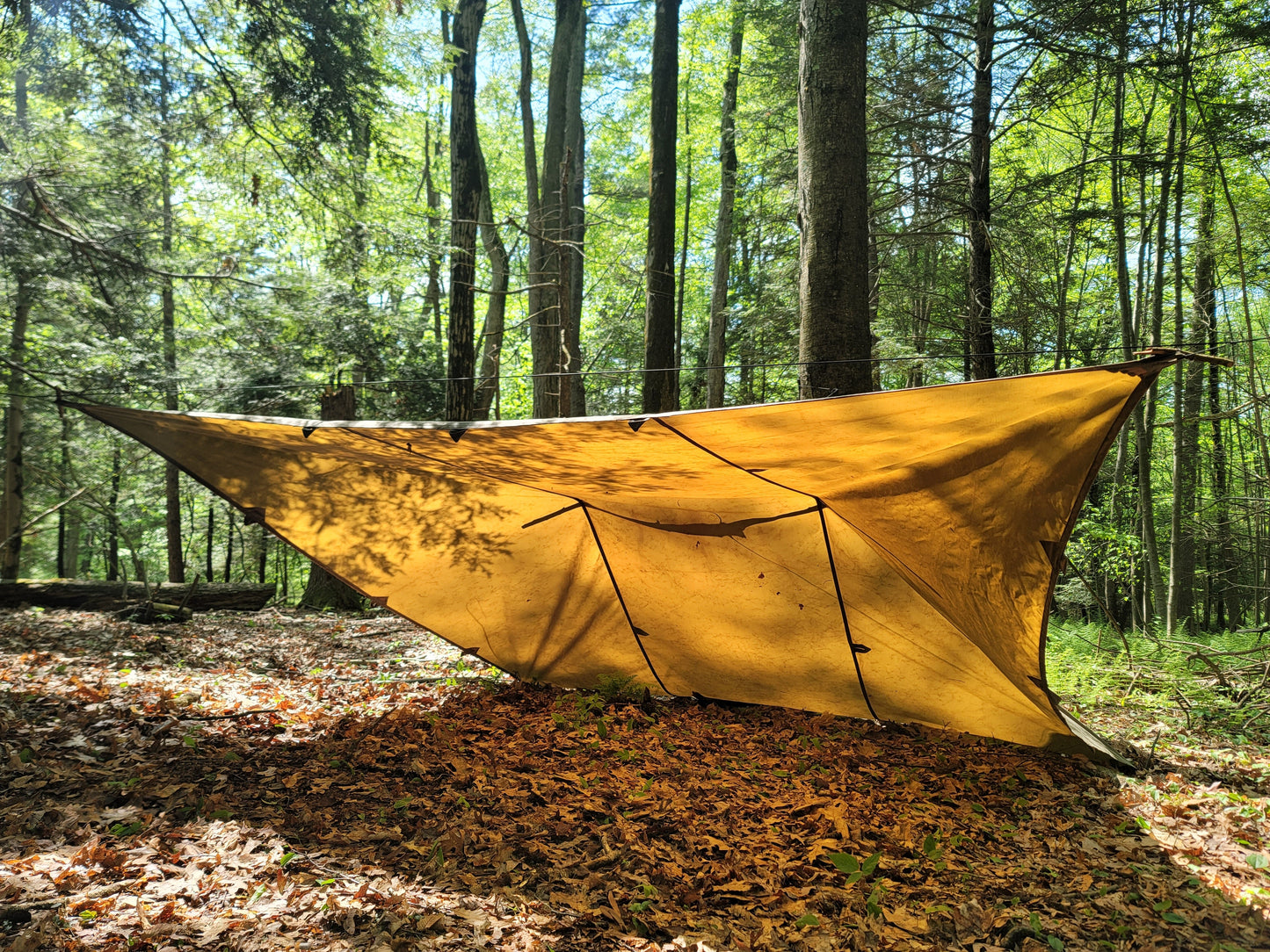 Oilcloth Tarps