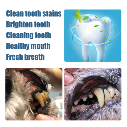 Pet Tooth Beauty Pen Dog Cat Cat Dog Pet tooth cleaning pen tartar stone cleaning tool