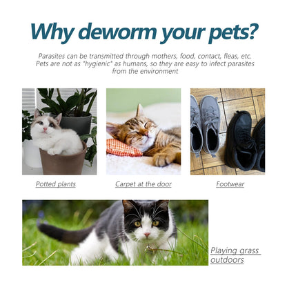 Pet Anti-Flea Tick Agent, External Deworming Skin Cleaning Tick Drops For Cats And Dogs