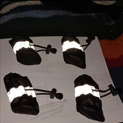 PawGuard Dog Boots