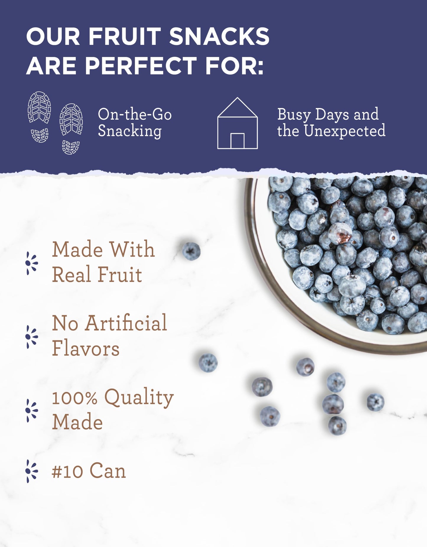 READYWISE - Simple Kitchen Freeze Dried Whole Blueberries, 28 Servings, Vegan, Gluten Free, Fruit Snacks, Emergency Supplies, Dehydrated Fruit, Blueberries