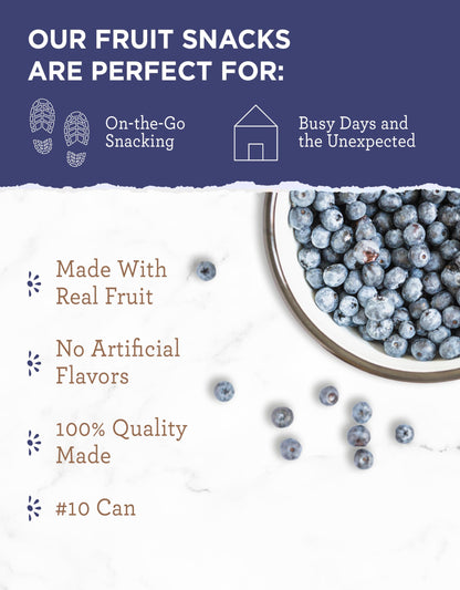 READYWISE - Simple Kitchen Freeze Dried Whole Blueberries, 28 Servings, Vegan, Gluten Free, Fruit Snacks, Emergency Supplies, Dehydrated Fruit, Blueberries