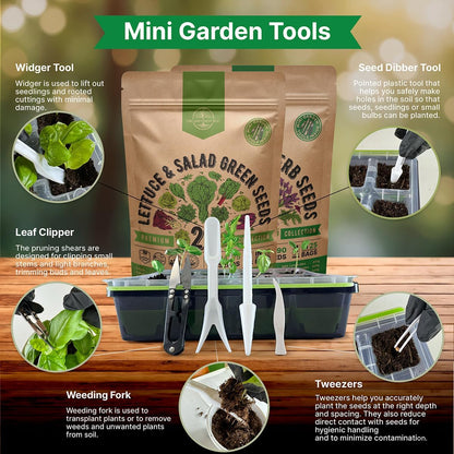 Organo Republic 22 Lettuce & Salad Greens Seeds & 25 Most Popular Herb Seeds Variety Pack Bundle, 36,400+ Non-GMO, Organic, Heirloom Garden Seeds for Planting Vegetables & Herbs for Indoor & Outdoor Gardening