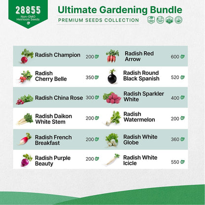 Organo Republic 12 Radish and 22 Lettuce & Salad Greens Seeds Variety Pack Bundle, 27,100+ Non-GMO Heirloom Garden Seeds for Planting Radishes, Lettuce, and Salad Greens for Indoor & Outdoor Gardening