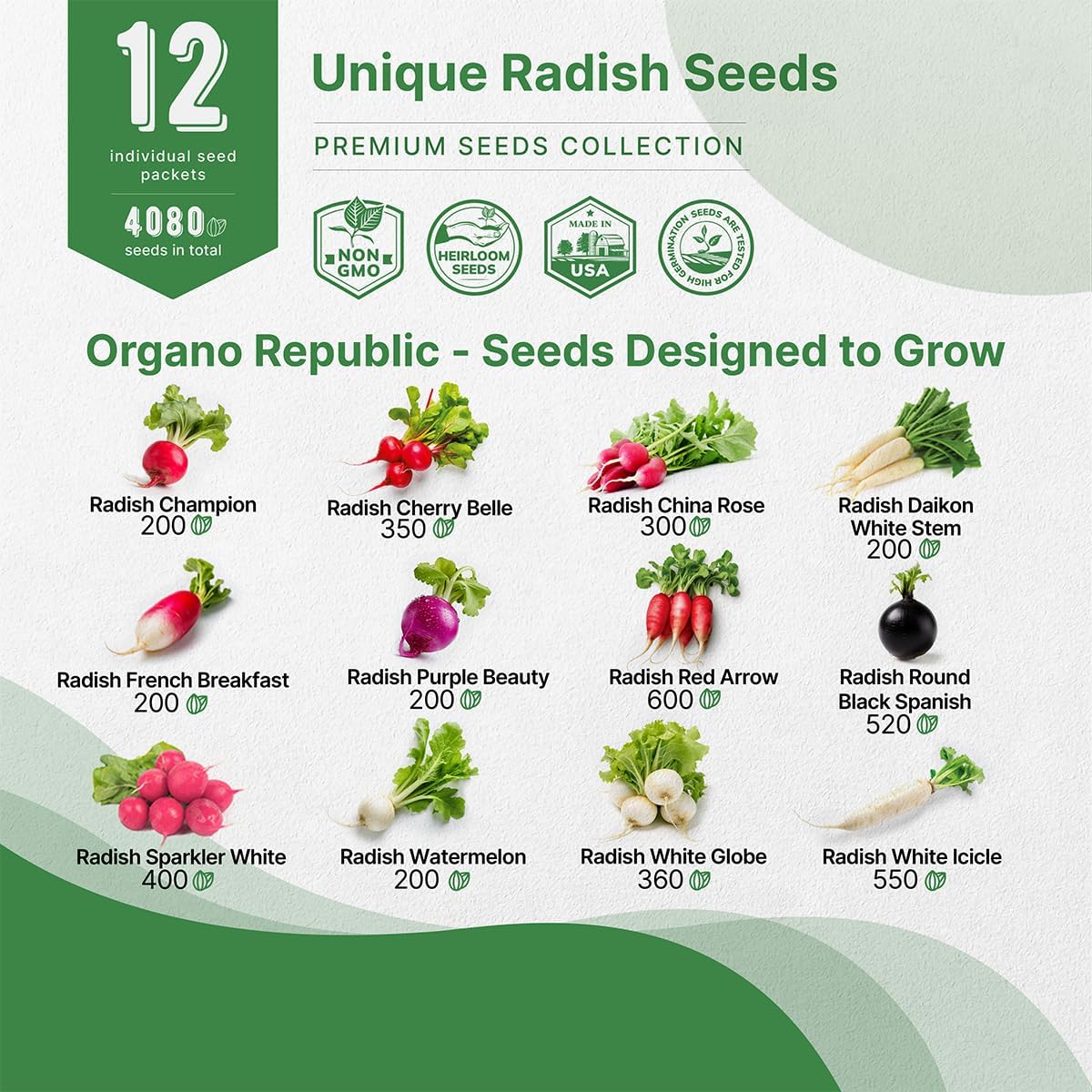 Organo Republic 8 Onion Seeds Variety Pack Heirloom, Non-GMO, Sets for Indoors, Outdoors Gardening. 2200+ Seeds: Walla Walla, Green Onion, Red Burgundy, White & Yellow Sweet Spanish Onions