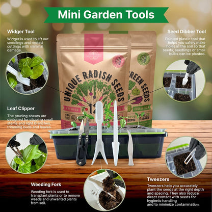 Organo Republic 12 Radish and 22 Lettuce & Salad Greens Seeds Variety Pack Bundle, 27,100+ Non-GMO Heirloom Garden Seeds for Planting Radishes, Lettuce, and Salad Greens for Indoor & Outdoor Gardening