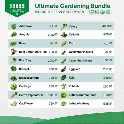 22 Lettuce & Salad Greens & 40 Vegetable Seeds Variety Pack Bundle, 50,700+ Non-GMO Heirloom Seeds for Planting Vegetables, Lettuce, and Salad Greens for Indoor & Outdoor Gardening