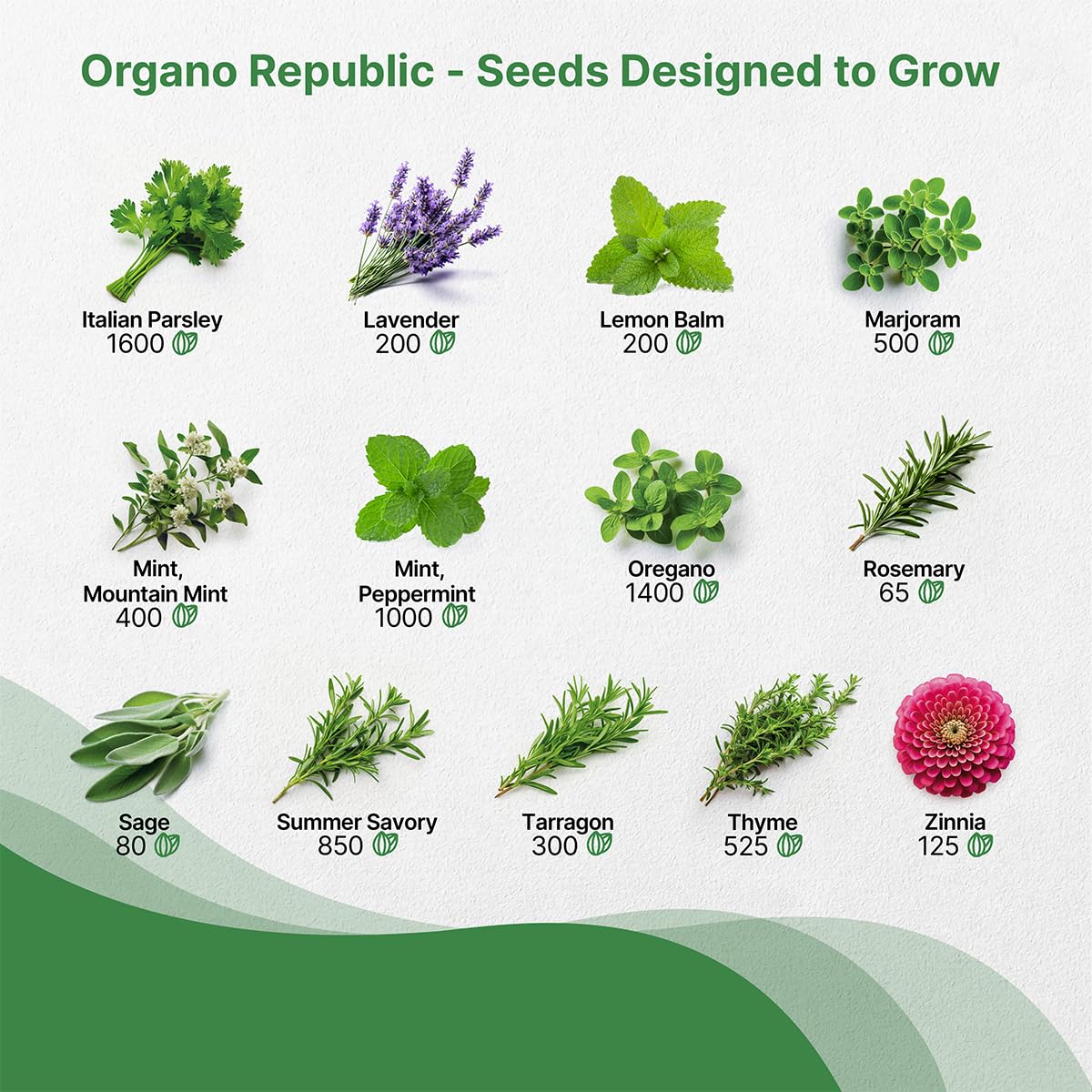 25 Most Popular Herb Seeds Variety Pack - 11,700 Non-GMO Heirloom Seeds for Planting Herbs in Individual Seed Packets for Hydroponic, Indoor & Outdoor Gardening