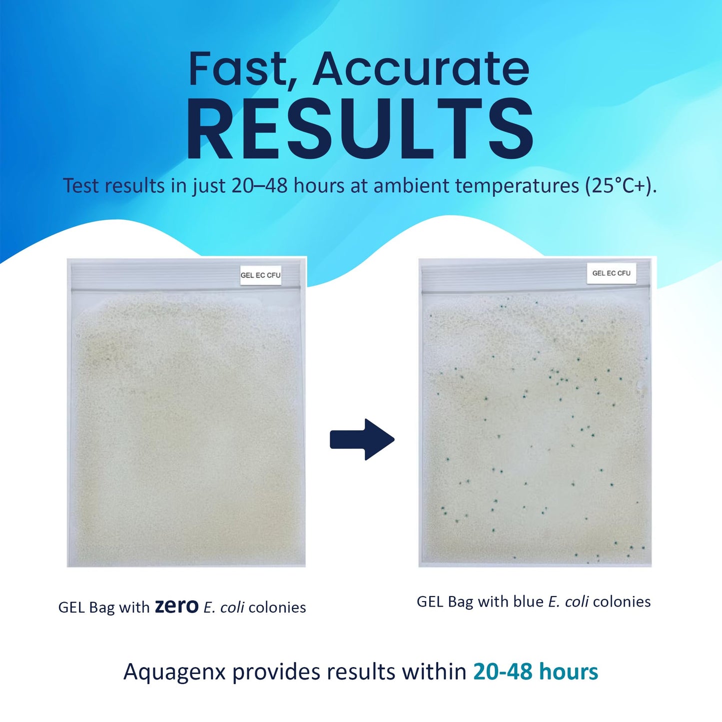 Pinpoint Water Test Kit – Fast & Easy Water Testing Kit for E. coli Detection - No Lab or Equipment Needed - Ideal for Well, Tap, and Drinking Water Testing (50 Pack)