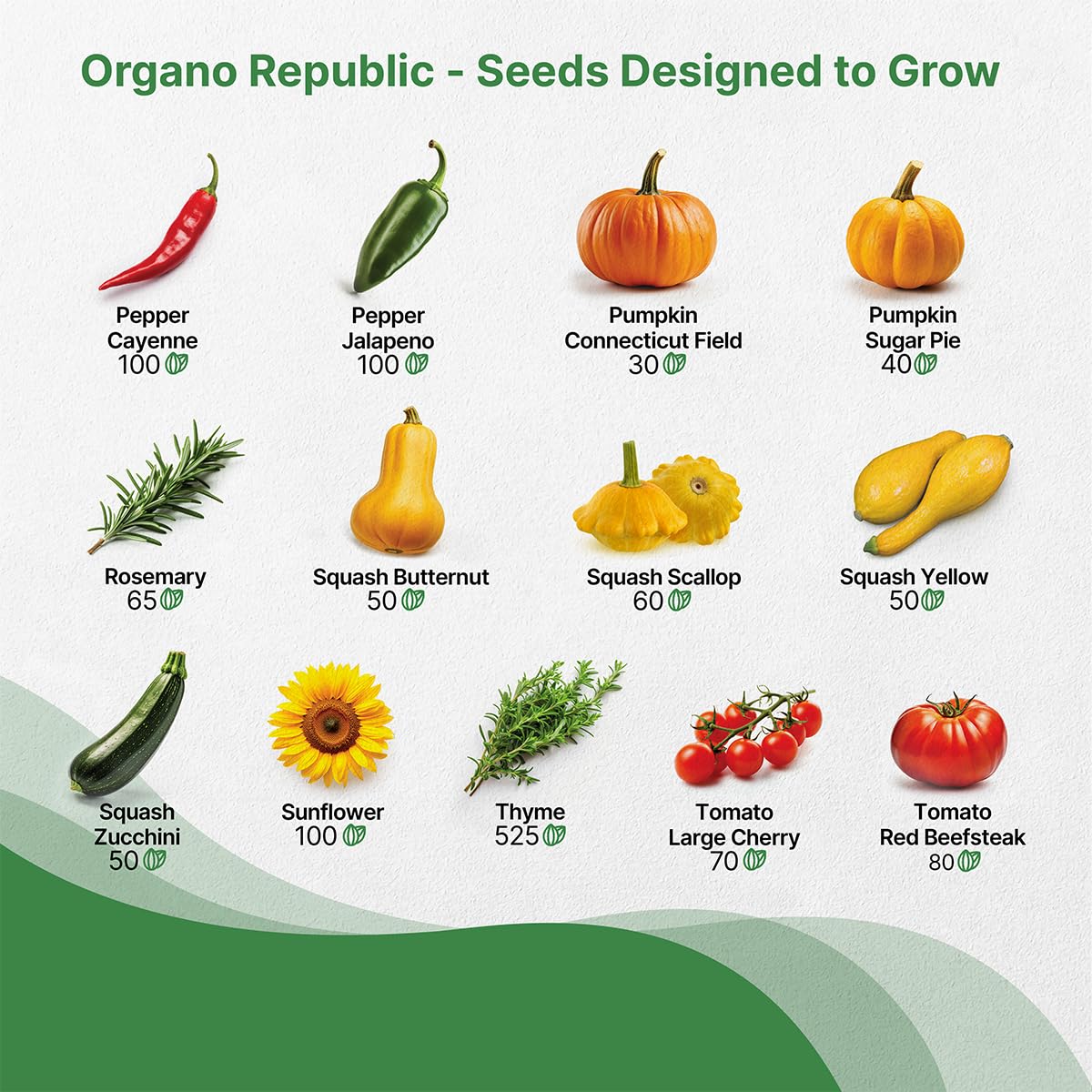 Organo Republic 25 Winter Vegetable & Green Seeds Variety Pack for Outdoors & Indoor Home Gardening 27670+ Non-GMO Heirloom Seeds: Broccoli Beet Carrot Collard Lettuce Radish Spinach Pea Kohlrabi