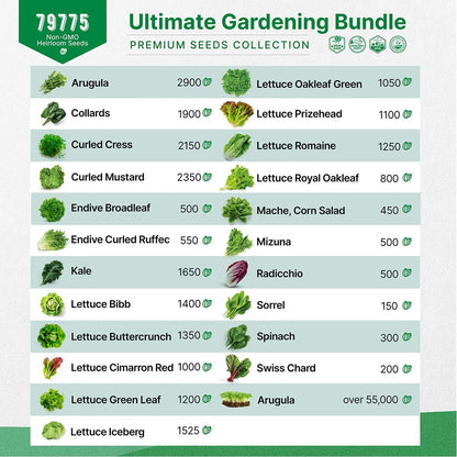 Organo Republic Arugula Sprouting 4 oz & 22 Lettuce & Salad Greens Seeds Variety Pack Bundle, 79,700+ Non-GMO Heirloom Garden Seeds for Planting Microgreens & Salad Greens for Indoor & Outdoor Garden
