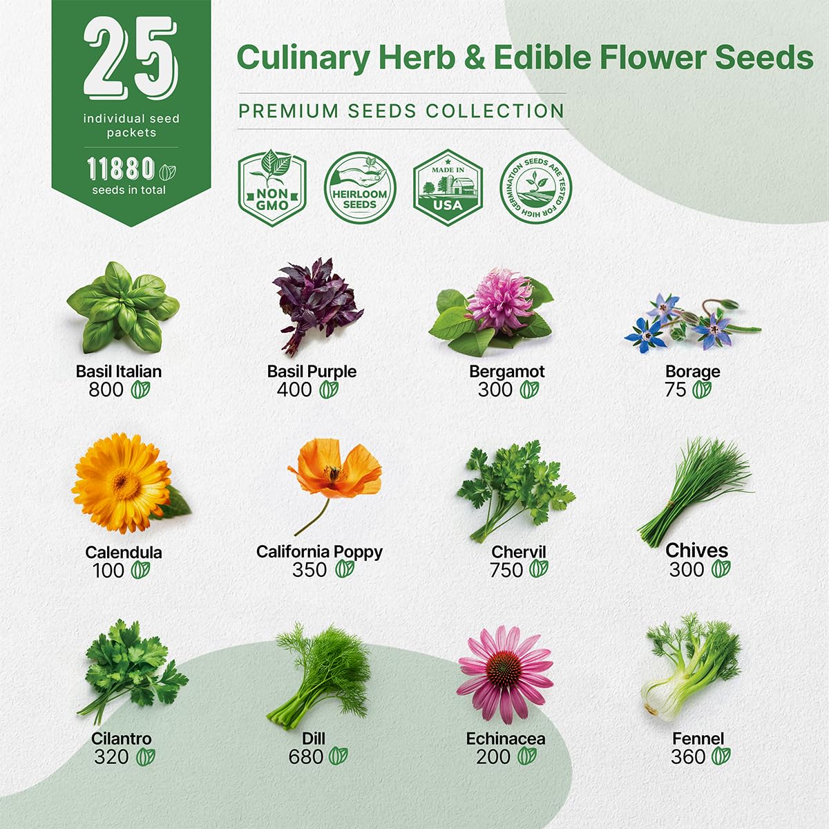 25 Most Popular Herb Seeds Variety Pack - 11,700 Non-GMO Heirloom Seeds for Planting Herbs in Individual Seed Packets for Hydroponic, Indoor & Outdoor Gardening