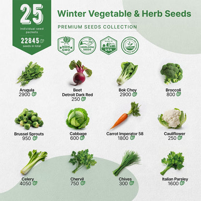 Organo Republic 25 Winter Vegetable & Green Seeds Variety Pack for Outdoors & Indoor Home Gardening 27670+ Non-GMO Heirloom Seeds: Broccoli Beet Carrot Collard Lettuce Radish Spinach Pea Kohlrabi