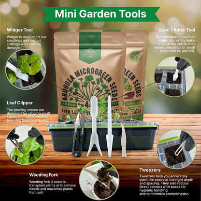 Organo Republic Arugula Sprouting 4 oz & 22 Lettuce & Salad Greens Seeds Variety Pack Bundle, 79,700+ Non-GMO Heirloom Garden Seeds for Planting Microgreens & Salad Greens for Indoor & Outdoor Garden