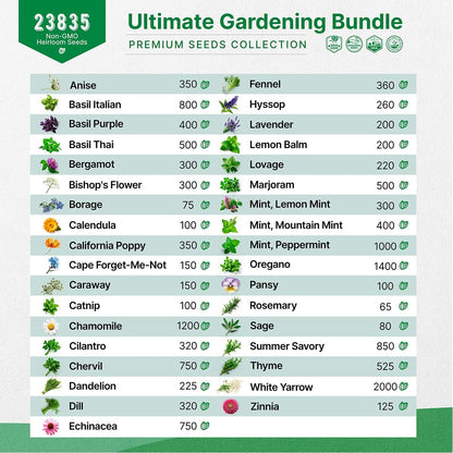 Organo Republic 10 Carrot Seeds and 35 Medicinal & Tea Herb Seeds Variety Pack Bundle, 23,885+ Non-GMO Heirloom Garden Seeds for Planting Carrots and Herbs for Indoor & Outdoor Gardening