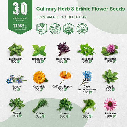25 Most Popular Herb Seeds Variety Pack - 11,700 Non-GMO Heirloom Seeds for Planting Herbs in Individual Seed Packets for Hydroponic, Indoor & Outdoor Gardening