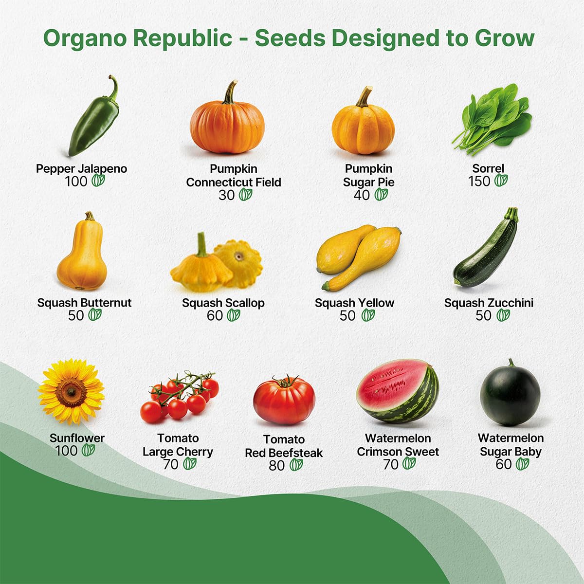 Organo Republic 25 Winter Vegetable & Green Seeds Variety Pack for Outdoors & Indoor Home Gardening 27670+ Non-GMO Heirloom Seeds: Broccoli Beet Carrot Collard Lettuce Radish Spinach Pea Kohlrabi