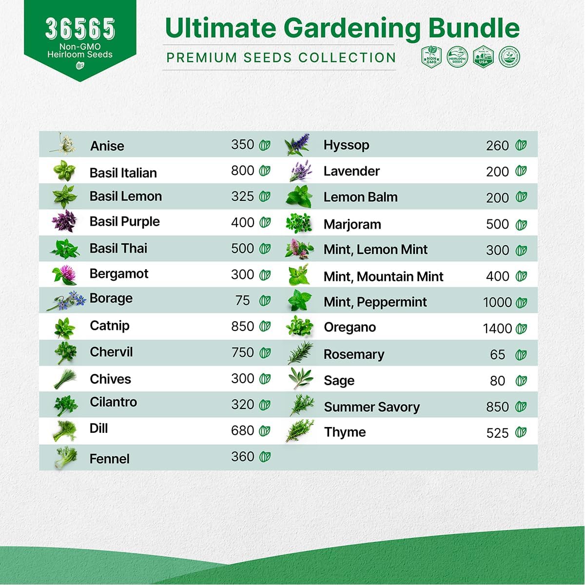 Organo Republic 22 Lettuce & Salad Greens Seeds & 25 Most Popular Herb Seeds Variety Pack Bundle, 36,400+ Non-GMO, Organic, Heirloom Garden Seeds for Planting Vegetables & Herbs for Indoor & Outdoor Gardening