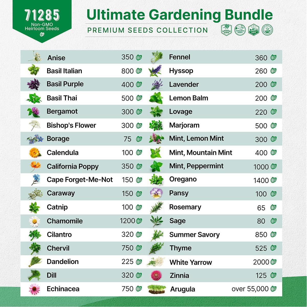 Organo Republic Arugula Sprouting 4 oz & 35 Medicinal & Tea Herb Seeds Variety Pack Bundle, 71,335+ Non-GMO Heirloom Garden Seeds for Planting Herbs & Medicinal Plants for Indoor & Outdoor Gardening