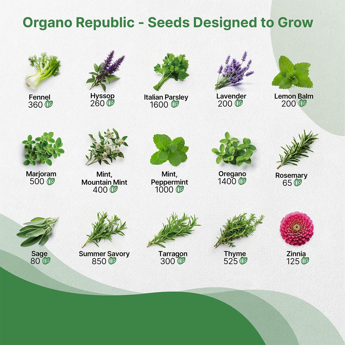 25 Most Popular Herb Seeds Variety Pack - 11,700 Non-GMO Heirloom Seeds for Planting Herbs in Individual Seed Packets for Hydroponic, Indoor & Outdoor Gardening