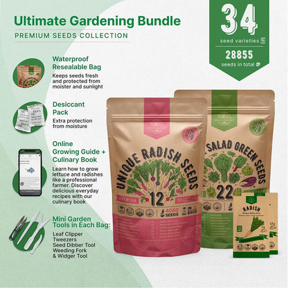 Organo Republic 12 Radish and 22 Lettuce & Salad Greens Seeds Variety Pack Bundle, 27,100+ Non-GMO Heirloom Garden Seeds for Planting Radishes, Lettuce, and Salad Greens for Indoor & Outdoor Gardening