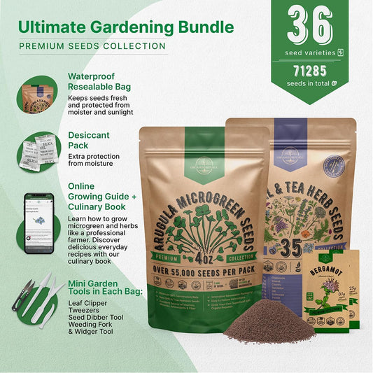 Organo Republic Arugula Sprouting 4 oz & 35 Medicinal & Tea Herb Seeds Variety Pack Bundle, 71,335+ Non-GMO Heirloom Garden Seeds for Planting Herbs & Medicinal Plants for Indoor & Outdoor Gardening
