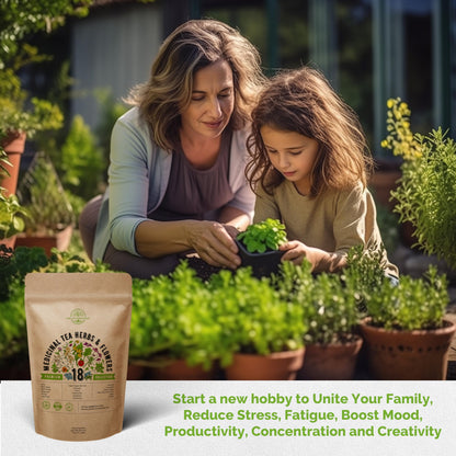 Organo Republic 18 Medicinal Tea Herb & Flower Seeds Variety Pack- Indoor/Outdoor. 3400+ Non-GMO Heirloom Flower Seeds: Anise, Bergamot, Calendula, Chamomile, Echinacea, Lavender Seeds & More