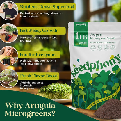 Broccoli Sprouting & Microgreens Seeds - 130,000 Non-GMO Heirloom Seed, 1lb Resealable Bag - High-Germination Broccoli Seeds for Sprouting in Jars, Soil, Hydroponics & Microgreen Trays