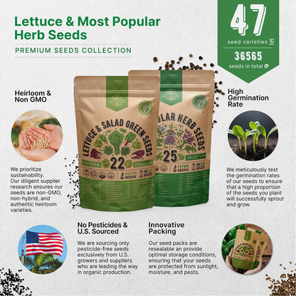 Organo Republic 22 Lettuce & Salad Greens Seeds & 25 Most Popular Herb Seeds Variety Pack Bundle, 36,400+ Non-GMO, Organic, Heirloom Garden Seeds for Planting Vegetables & Herbs for Indoor & Outdoor Gardening