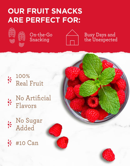 READYWISE - Simple Kitchen Freeze Dried Whole Blueberries, 28 Servings, Vegan, Gluten Free, Fruit Snacks, Emergency Supplies, Dehydrated Fruit, Blueberries