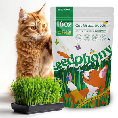Cat Grass Seed Mix – 4 oz Pack with 5,200 Non-GMO Heirloom Seeds for Cats, Barley, Oat, Rye & Wheatgrass for Indoor Growing, Fresh Pet Grass for Digestion & Hairball Control