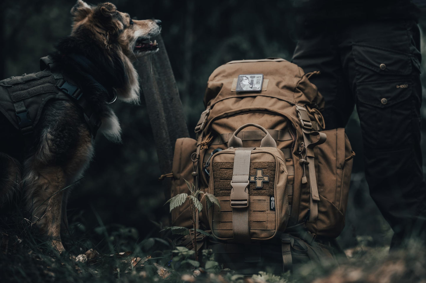 RHINO RESCUE IFAK Trauma Kit with C-A-T Tourniquet, Tactical First Aid Kit Molle Pouch for Military, Combat, Car, Camping, Hiking, Travel (Red)