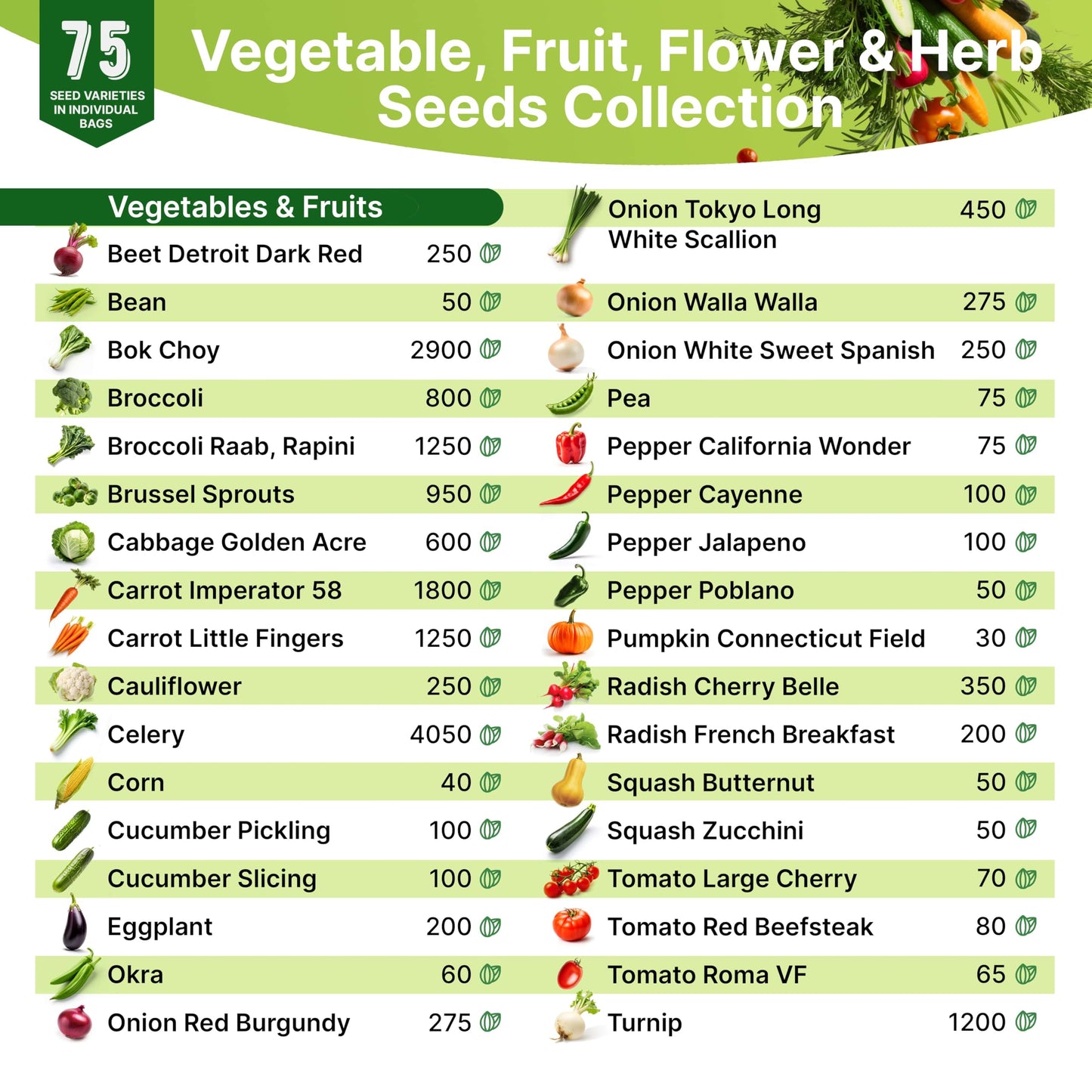 35 Medicinal & Tea Herb Seeds Variety Pack for Indoor & Outdoors. 16,335+ Non-GMO Heirloom Garden Seeds: Anise, Bergamot, Borage, Cilantro, Chamomile, Dandelion, Rosemary Seeds & More