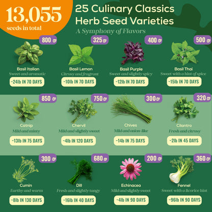 35 Medicinal & Tea Herb Seeds Variety Pack - 16,285+ Non-GMO Heirloom Herbs Seeds for Planting Indoor & Outdoor: Lavender, Rosemary, Echinacea, Mint, Catnip, Basil - Gardening Seed Packets