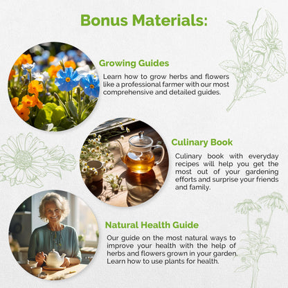 Organo Republic 18 Medicinal Tea Herb & Flower Seeds Variety Pack- Indoor/Outdoor. 3400+ Non-GMO Heirloom Flower Seeds: Anise, Bergamot, Calendula, Chamomile, Echinacea, Lavender Seeds & More