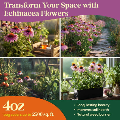 Echinacea Seed Pack 1 oz - 9,300 Non-GMO Heirloom Echinacea Seeds for Planting, Perennial Flowers in Waterproof Seed Packet, Coneflower Seeds for Planting Garden Indoor & Outdoor Gardening