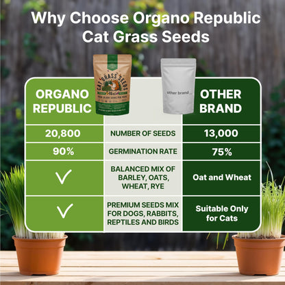 Organo Republic Cat Grass Seeds Mix - 20,800 Non-GMO Heirloom Seeds for Cats & Pets, 16 oz Pack for Growing Fresh Barley, Oat, Rye & Wheat Grass Seeds for Planting, Indoor Plants, Hairball Remedy
