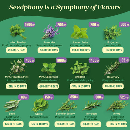 35 Medicinal & Tea Herb Seeds Variety Pack - 16,285+ Non-GMO Heirloom Herbs Seeds for Planting Indoor & Outdoor: Lavender, Rosemary, Echinacea, Mint, Catnip, Basil - Gardening Seed Packets