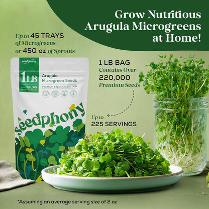 Broccoli Sprouting & Microgreens Seeds - 130,000 Non-GMO Heirloom Seed, 1lb Resealable Bag - High-Germination Broccoli Seeds for Sprouting in Jars, Soil, Hydroponics & Microgreen Trays