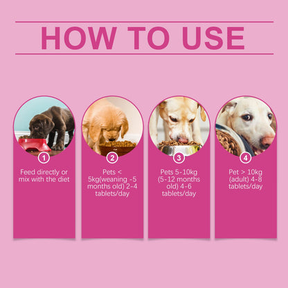 Dog Probiotic Tablets To Improve Intestinal Health, Balance Digestion And Absorption Of Pet Nutritional Supplements