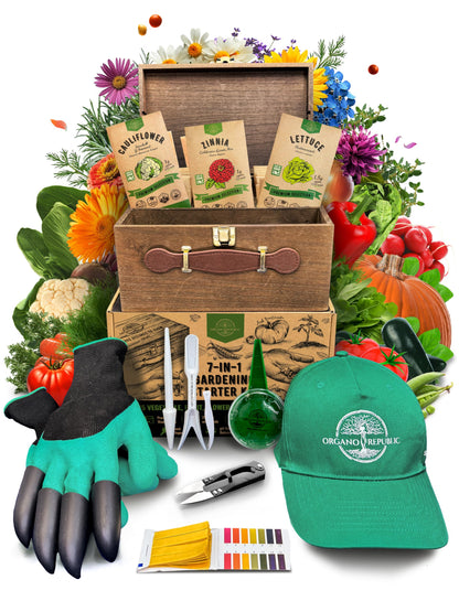 35 Medicinal & Tea Herb Seeds Variety Pack for Indoor & Outdoors. 16,335+ Non-GMO Heirloom Garden Seeds: Anise, Bergamot, Borage, Cilantro, Chamomile, Dandelion, Rosemary Seeds & More