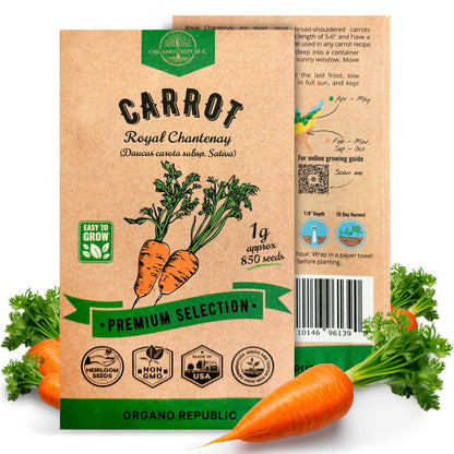 Onion Walla Walla Seeds Pack 1G - Over 275 Non-GMO Heirloom Onion Seeds for Planting Vegetables in Individual Seed Packet, Vegetable Seeds for Planting Home Garden Indoor & Outdoor Gardening