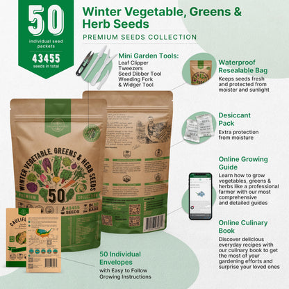 Organo Republic 25 Winter Vegetable & Green Seeds Variety Pack for Outdoors & Indoor Home Gardening 27670+ Non-GMO Heirloom Seeds: Broccoli Beet Carrot Collard Lettuce Radish Spinach Pea Kohlrabi