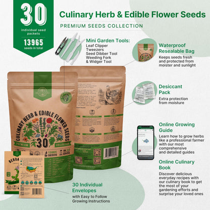 25 Most Popular Herb Seeds Variety Pack - 11,700 Non-GMO Heirloom Seeds for Planting Herbs in Individual Seed Packets for Hydroponic, Indoor & Outdoor Gardening