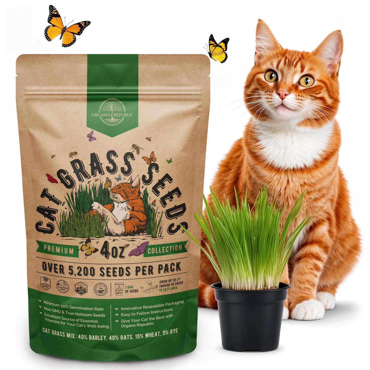Organo Republic Cat Grass Seeds Mix - 20,800 Non-GMO Heirloom Seeds for Cats & Pets, 16 oz Pack for Growing Fresh Barley, Oat, Rye & Wheat Grass Seeds for Planting, Indoor Plants, Hairball Remedy