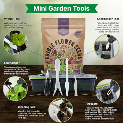 Organo Republic 25 Edible Flower Seeds Variety Pack for Indoor Outdoor Gardening - 8,000+ Non-GMO Heirloom Flower Seeds: Anise, Hyssop, Nasturtium, Pansy, Echinacea, Lavender, Chives & More