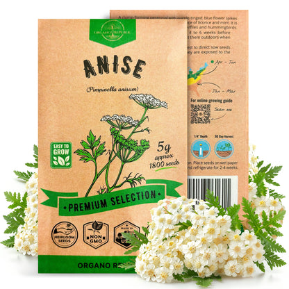 White Yarrow Seeds Pack 0.25 G - Over 2000 Non-GMO Heirloom Yarrow Seeds for Planting Herbs in Individual Seed Packet, Herbs Seeds for Planting Home Garden Indoor & Outdoor Gardening